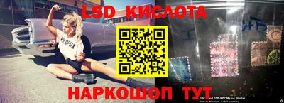 PSILOCYBIN Аргун