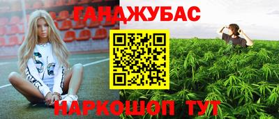ПСИЛОЦИБИНОВЫЕ ГРИБЫ Заводоуковск