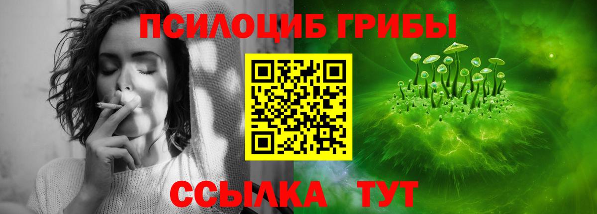Галлюциногенные грибы Psilocybine cubensis Мирный